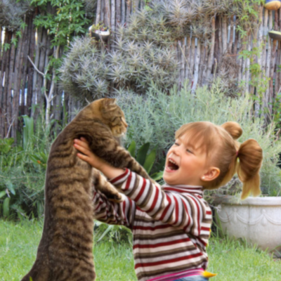 Child and Pet Friendly